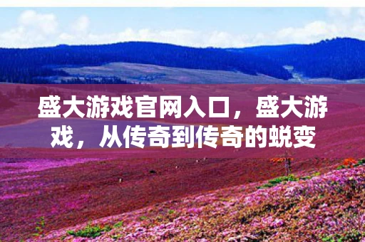 盛大游戏官网入口，盛大游戏，从传奇到传奇的蜕变