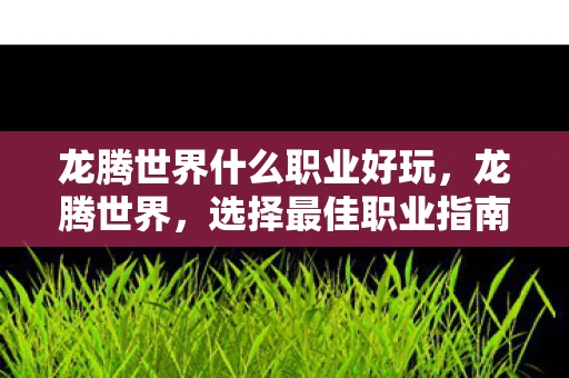 龙腾世界什么职业好玩，龙腾世界，选择最佳职业指南