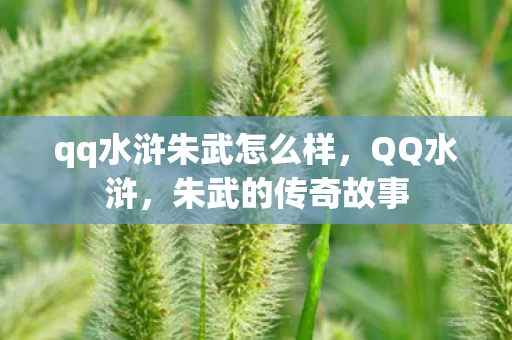 qq水浒朱武怎么样，QQ水浒，朱武的传奇故事