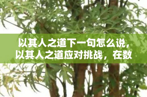 以其人之道下一句怎么说，以其人之道应对挑战，在数字时代中自我提升与适应