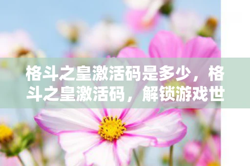 格斗之皇激活码是多少，格斗之皇激活码，解锁游戏世界的神秘钥匙