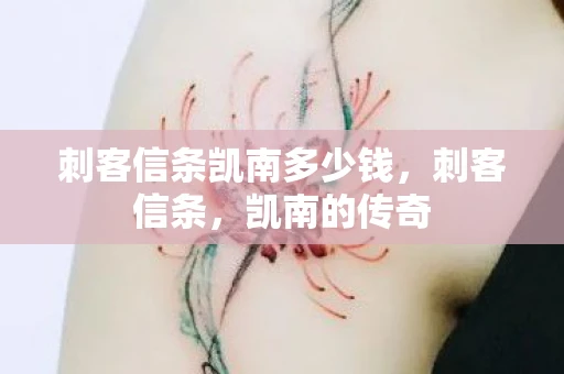 刺客信条凯南多少钱，刺客信条，凯南的传奇