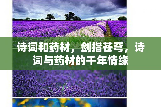 诗词和药材，剑指苍穹，诗词与药材的千年情缘