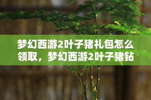 梦幻西游2叶子猪礼包怎么领取，梦幻西游2叶子猪钻石特权礼包，解锁你的西游之旅