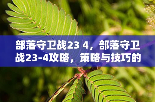 部落守卫战23 4，部落守卫战23-4攻略，策略与技巧的全面解析