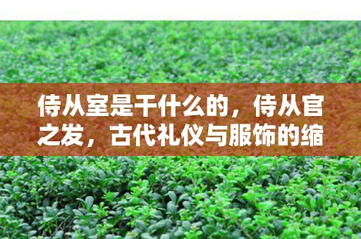 侍从室是干什么的，侍从官之发，古代礼仪与服饰的缩影