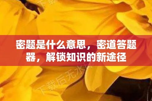 密题是什么意思，密道答题器，解锁知识的新途径