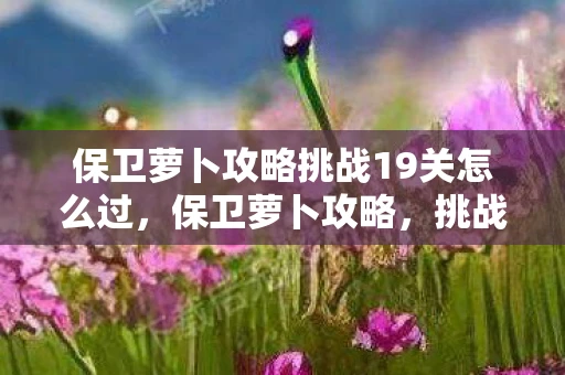 保卫萝卜攻略挑战19关怎么过，保卫萝卜攻略，挑战19全面解析