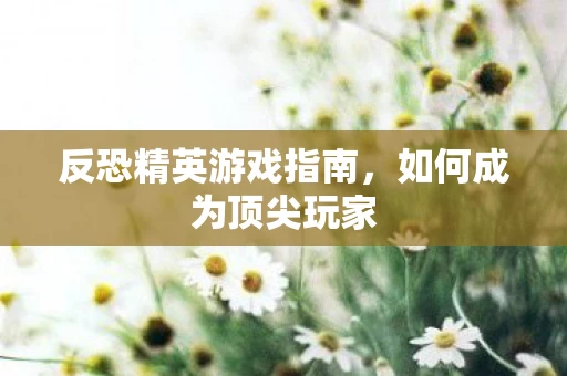 反恐精英游戏指南图片