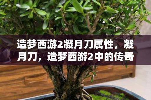 造梦西游2凝月刀属性，凝月刀，造梦西游2中的传奇利器