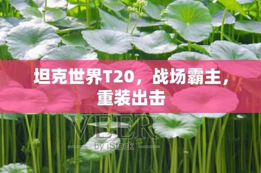 坦克世界T20图片
