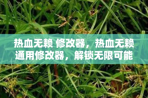 热血无赖 修改器，热血无赖通用修改器，解锁无限可能，打造你的游戏新体验