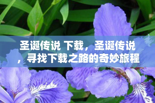 圣诞传说 下载，圣诞传说，寻找下载之路的奇妙旅程