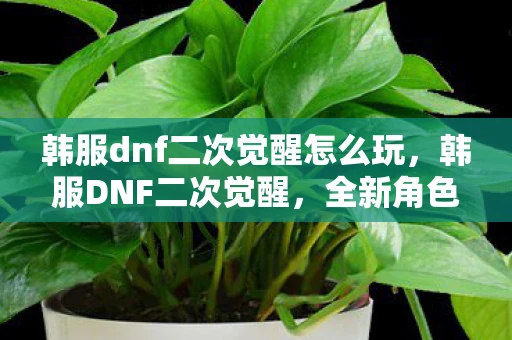 韩服dnf二次觉醒怎么玩,韩服DNF二次觉醒,全新角色与技能,带你领略不一样的冒险世界 韩服dnf二次觉醒怎么玩,韩服DNF二次觉醒,全新角色与技能,带你领略不一样的冒险世界