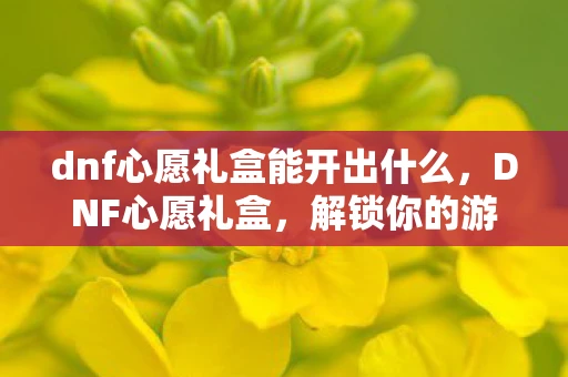 dnf心愿礼盒能开出什么，DNF心愿礼盒，解锁你的游戏梦想