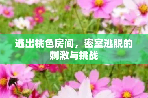 密室逃脱的刺激与挑战图片