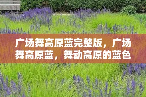 广场舞高原蓝完整版,广场舞高原蓝,舞动高原的蓝色旋律 广场舞高原蓝完整版,广场舞高原蓝,舞动高原的蓝色旋律