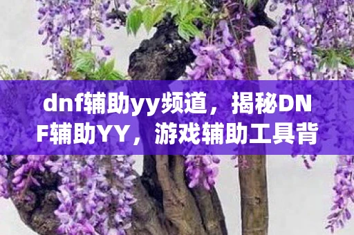 dnf辅助yy频道,揭秘DNF辅助YY,游戏辅助工具背后的真相与风险 dnf辅助yy频道,揭秘DNF辅助YY,游戏辅助工具背后的真相与风险
