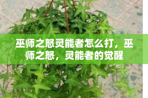 巫师之怒灵能者怎么打，巫师之怒，灵能者的觉醒