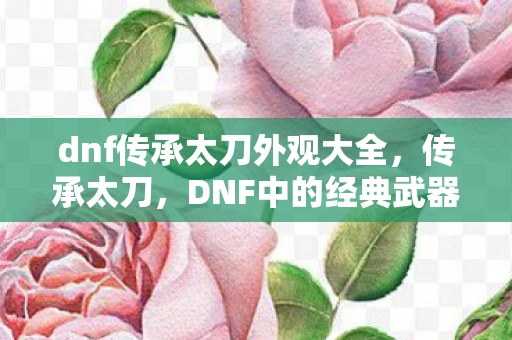 dnf传承太刀外观大全，传承太刀，DNF中的经典武器与情怀
