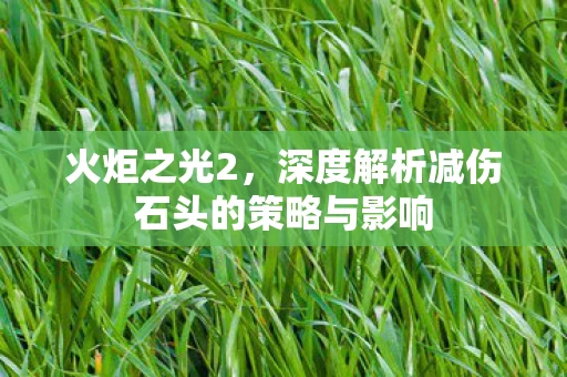 深度解析减伤石头的策略与影响图片