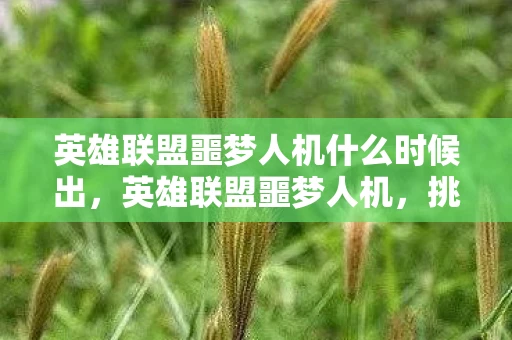 英雄联盟噩梦人机什么时候出,英雄联盟噩梦人机,挑战极限,突破自我 英雄联盟噩梦人机什么时候出,英雄联盟噩梦人机,挑战极限,突破自我
