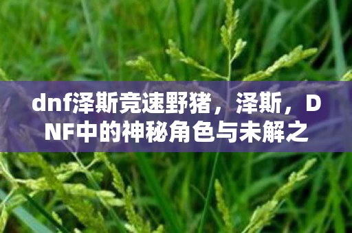 dnf泽斯竞速野猪,泽斯,DNF中的神秘角色与未解之谜 dnf泽斯竞速野猪,泽斯,DNF中的神秘角色与未解之谜