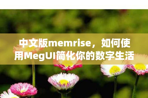 中文版memrise，如何使用MegUI简化你的数字生活