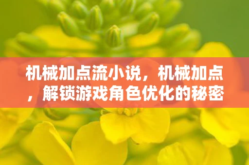 机械加点流小说，机械加点，解锁游戏角色优化的秘密