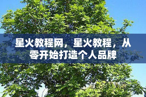 星火教程网,星火教程,从零开始打造个人品牌 星火教程网,星火教程,从零开始打造个人品牌