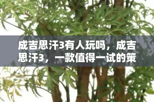 成吉思汗3有人玩吗，成吉思汗3，一款值得一试的策略游戏