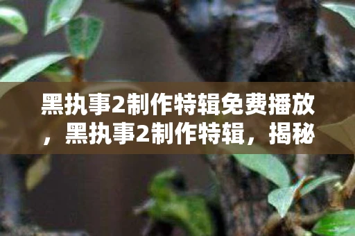 黑执事2制作特辑免费播放,黑执事2制作特辑,揭秘幕后制作与角色塑造 黑执事2制作特辑免费播放,黑执事2制作特辑,揭秘幕后制作与角色塑造