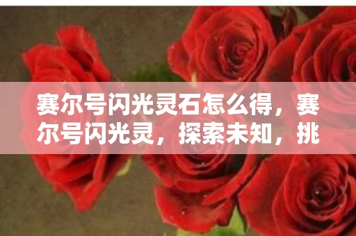 赛尔号闪光灵石怎么得，赛尔号闪光灵，探索未知，挑战极限