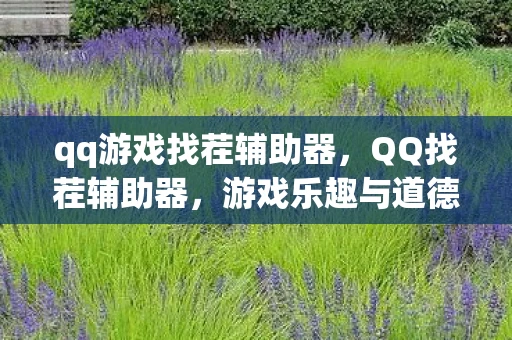 qq游戏找茬辅助器，QQ找茬辅助器，游戏乐趣与道德边界的微妙平衡