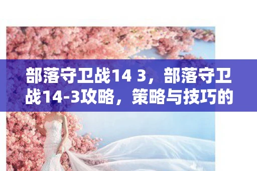 部落守卫战14 3，部落守卫战14-3攻略，策略与技巧的全面解析