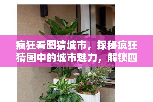疯狂看图猜城市，探秘疯狂猜图中的城市魅力，解锁四字城市之谜