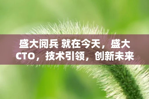 盛大阅兵 就在今天,盛大CTO,技术引领,创新未来 盛大阅兵 就在今天,盛大CTO,技术引领,创新未来