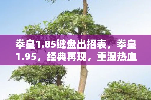 拳皇1.85键盘出招表,拳皇1.95,经典再现,重温热血格斗的传奇 拳皇1.85键盘出招表,拳皇1.95,经典再现,重温热血格斗的传奇