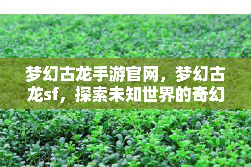 梦幻古龙手游官网，梦幻古龙sf，探索未知世界的奇幻之旅