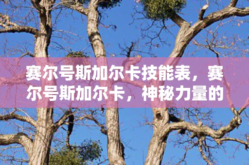 赛尔号斯加尔卡技能表,赛尔号斯加尔卡,神秘力量的觉醒 赛尔号斯加尔卡技能表,赛尔号斯加尔卡,神秘力量的觉醒