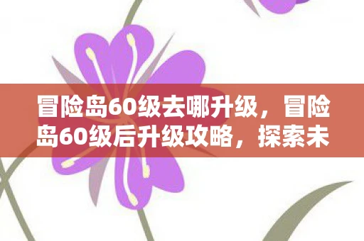 冒险岛60级去哪升级，冒险岛60级后升级攻略，探索未知，挑战更高境界