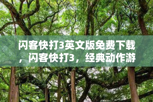 闪客快打3英文版免费下载,闪客快打3,经典动作游戏的英文原版魅力 闪客快打3英文版免费下载,闪客快打3,经典动作游戏的英文原版魅力