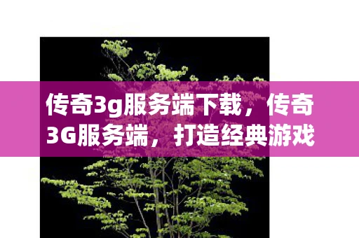传奇3g服务端下载，传奇3G服务端，打造经典游戏的全新体验