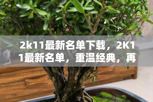 2k11最新名单下载,2K11最新名单,重温经典,再续传奇 2k11最新名单下载,2K11最新名单,重温经典,再续传奇
