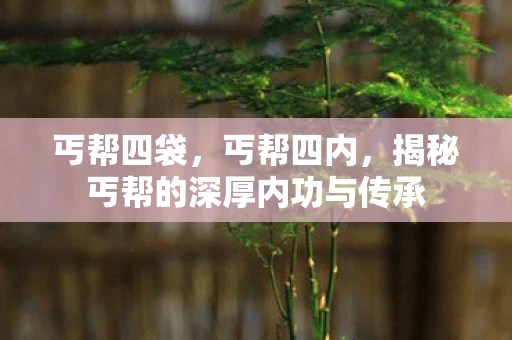 丐帮四袋,丐帮四内,揭秘丐帮的深厚内功与传承 丐帮四袋,丐帮四内,揭秘丐帮的深厚内功与传承
