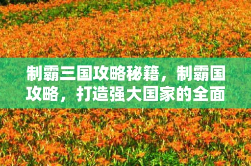 制霸三国攻略秘籍,制霸国攻略,打造强大国家的全面指南 制霸三国攻略秘籍,制霸国攻略,打造强大国家的全面指南