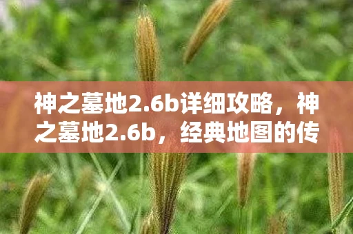 神之墓地2.6b详细攻略，神之墓地2.6b，经典地图的传奇延续