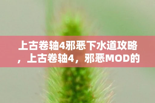 上古卷轴4邪恶下水道攻略，上古卷轴4，邪恶MOD的黑暗魅力