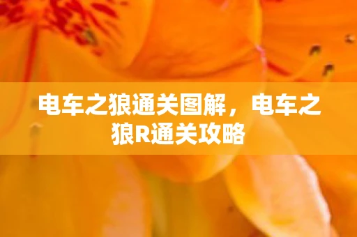 电车之狼通关图解，电车之狼R通关攻略