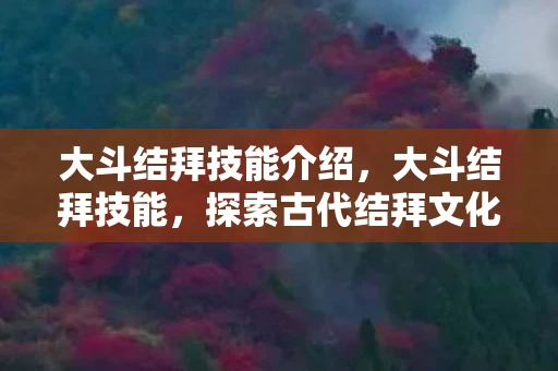 大斗结拜技能介绍,大斗结拜技能,探索古代结拜文化的魅力 大斗结拜技能介绍,大斗结拜技能,探索古代结拜文化的魅力